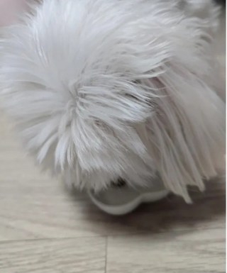 갤러리 이미지