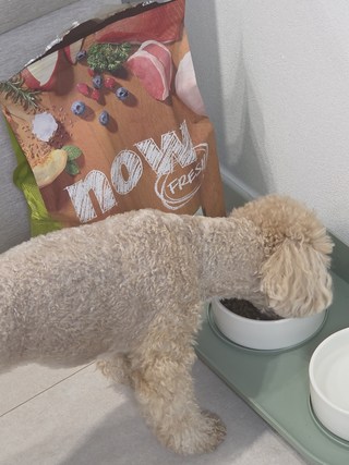 갤러리 이미지