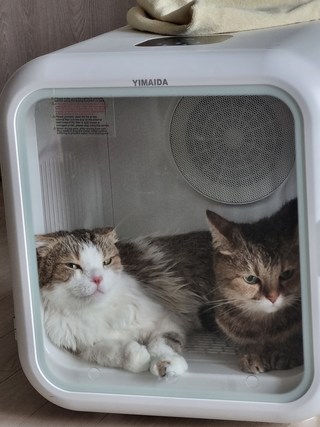 갤러리 이미지