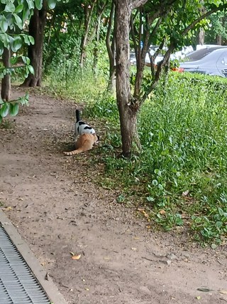 갤러리 이미지