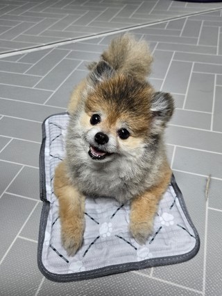 갤러리 이미지