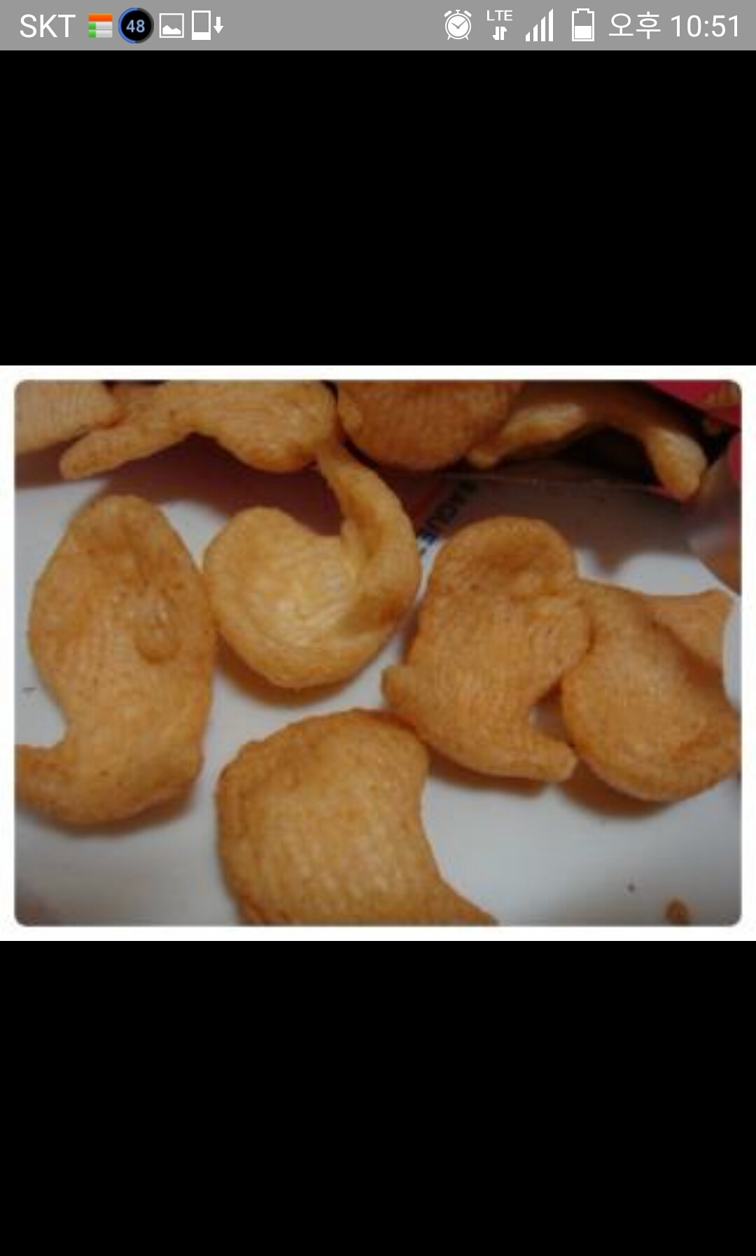 자갈치 문어맛