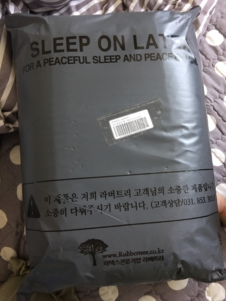 라버트리 라텍스 바디필로우 폼