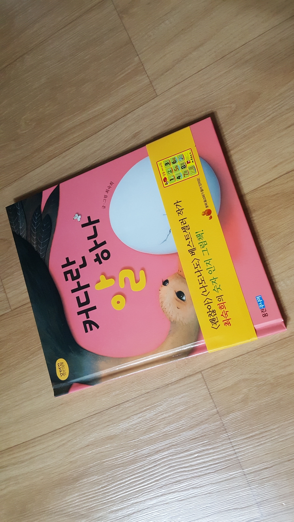 커다란 알 하나