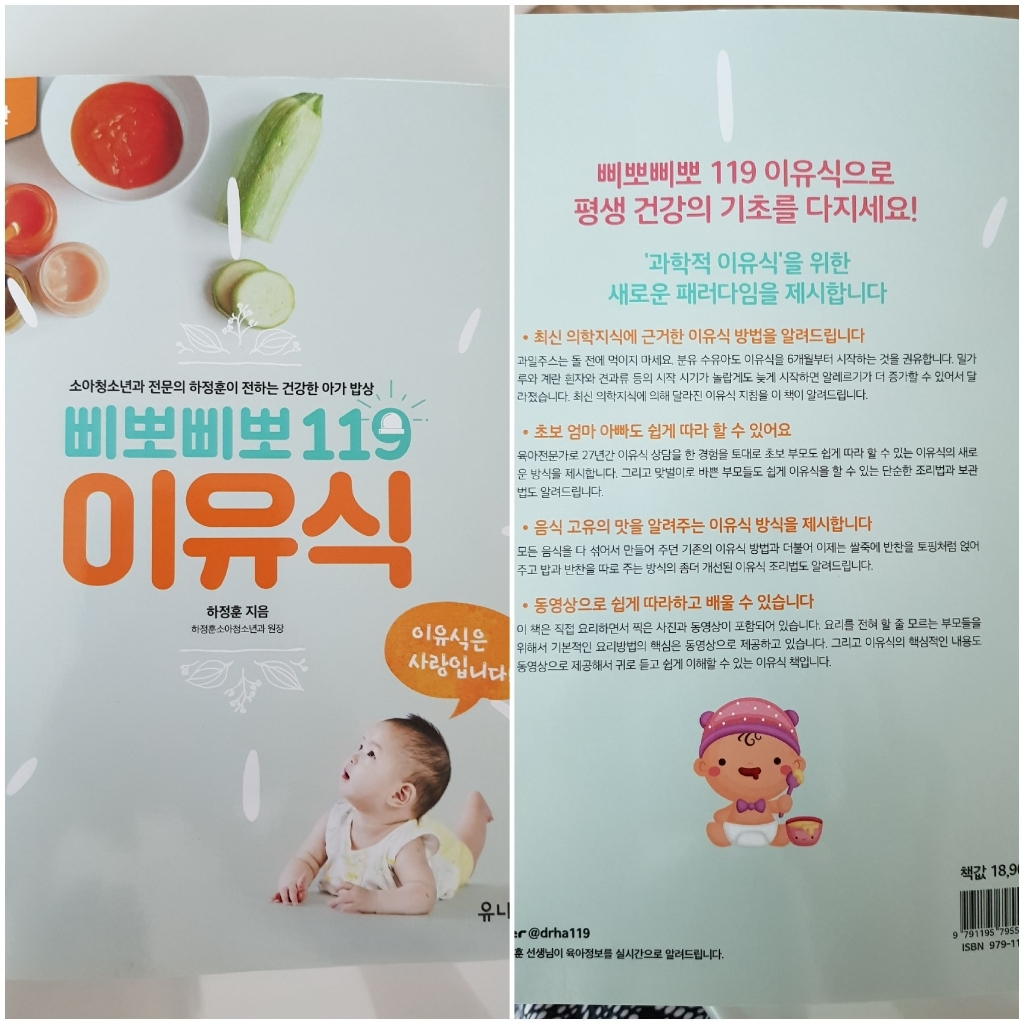 삐뽀삐뽀 119 이유식:소아청소년과 전문의 하정훈이 전하는 건강한 아가 밥상 최신 개정판