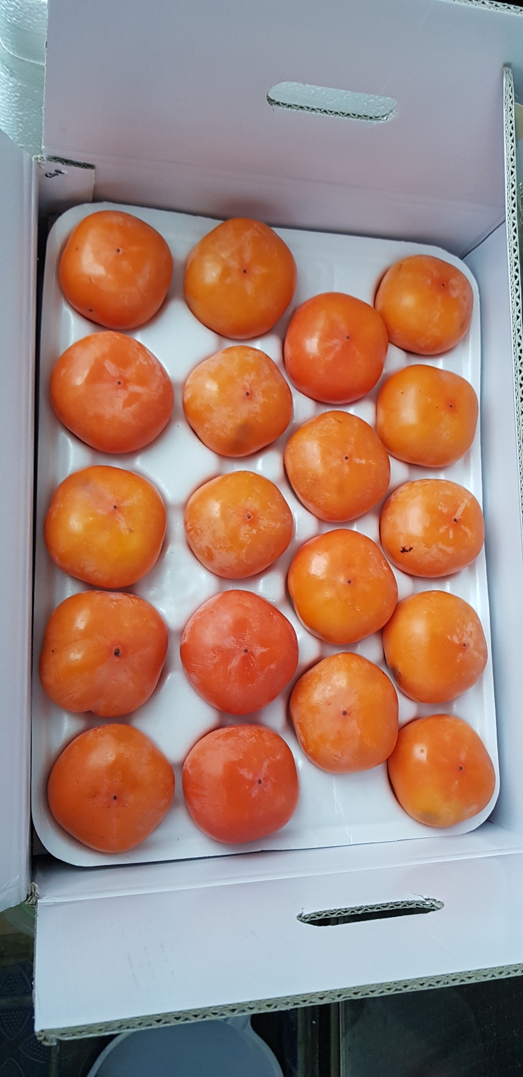 달달과수원 씨없는 청도 반시 감 연시 홍시 고당도 리뷰후기
