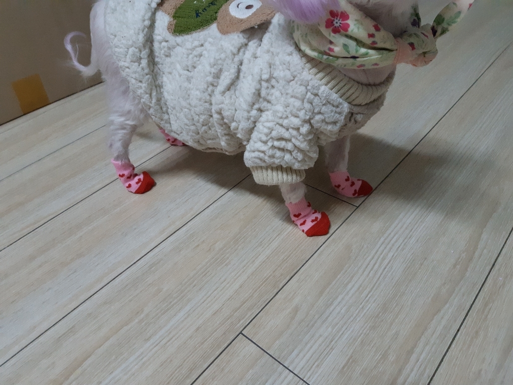 D 알럽펫 반려동물 미끄럼 방지 양말