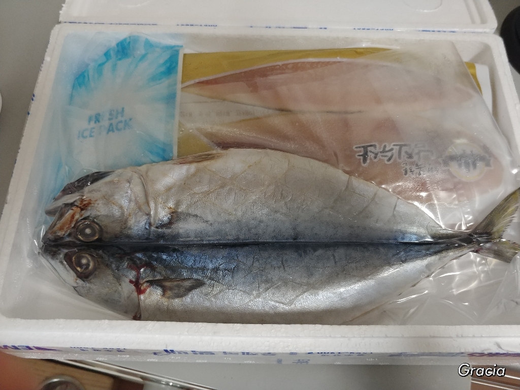 군산 박대 생선구이 조림용 구이용 선물용 반건조 생선 군산에서 말린 참박대