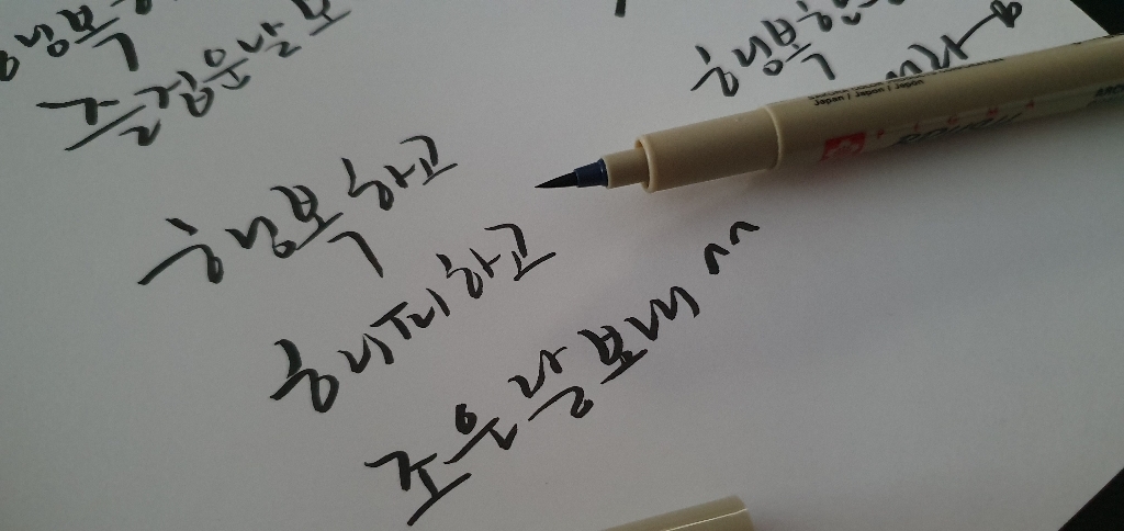 사쿠라 마이크론 브러쉬 드로잉펜