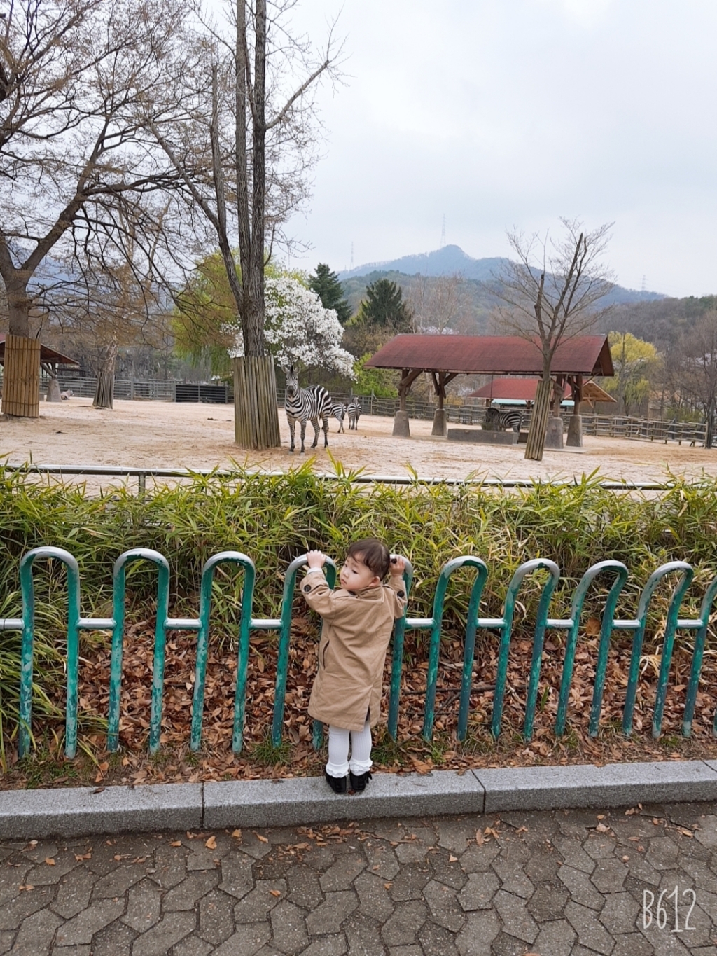 솜니움베베 유아 아기 레이스 골지 분리 레깅스 타이즈