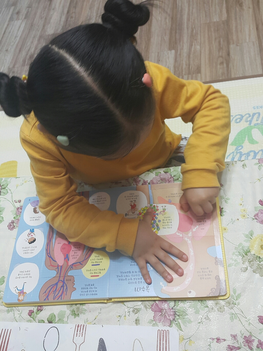 Usborne 요리조리 열어 보는 우리 몸:열면 또 열리는 플랩이 100개 리뷰후기