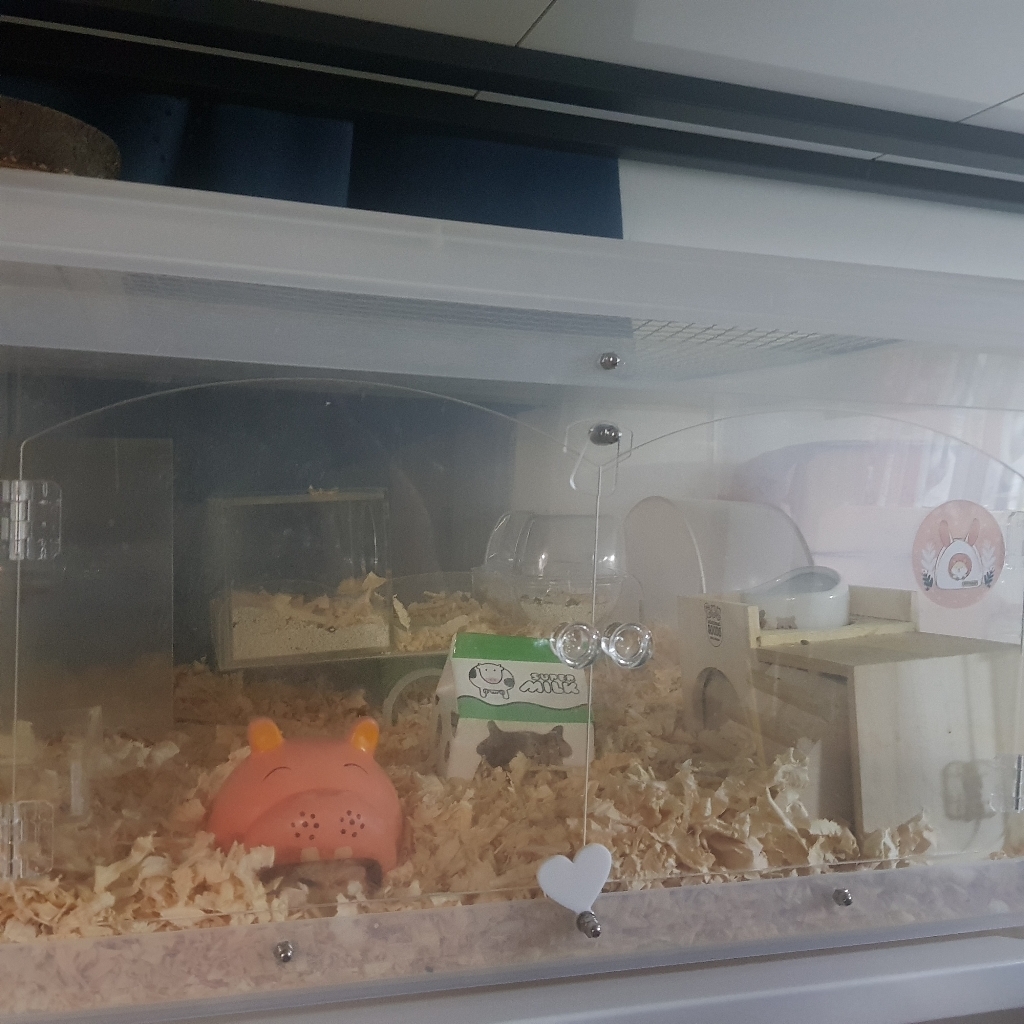 와일드산코 소동물용 목욕모래 03