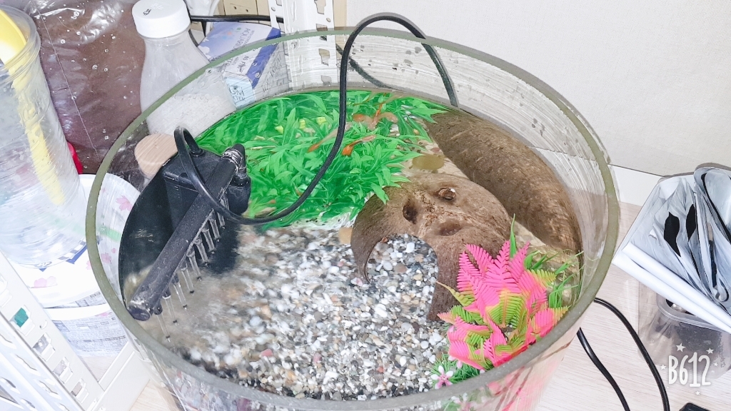 모비딕 수족관 장식용 인조수초 레이아웃세트 S