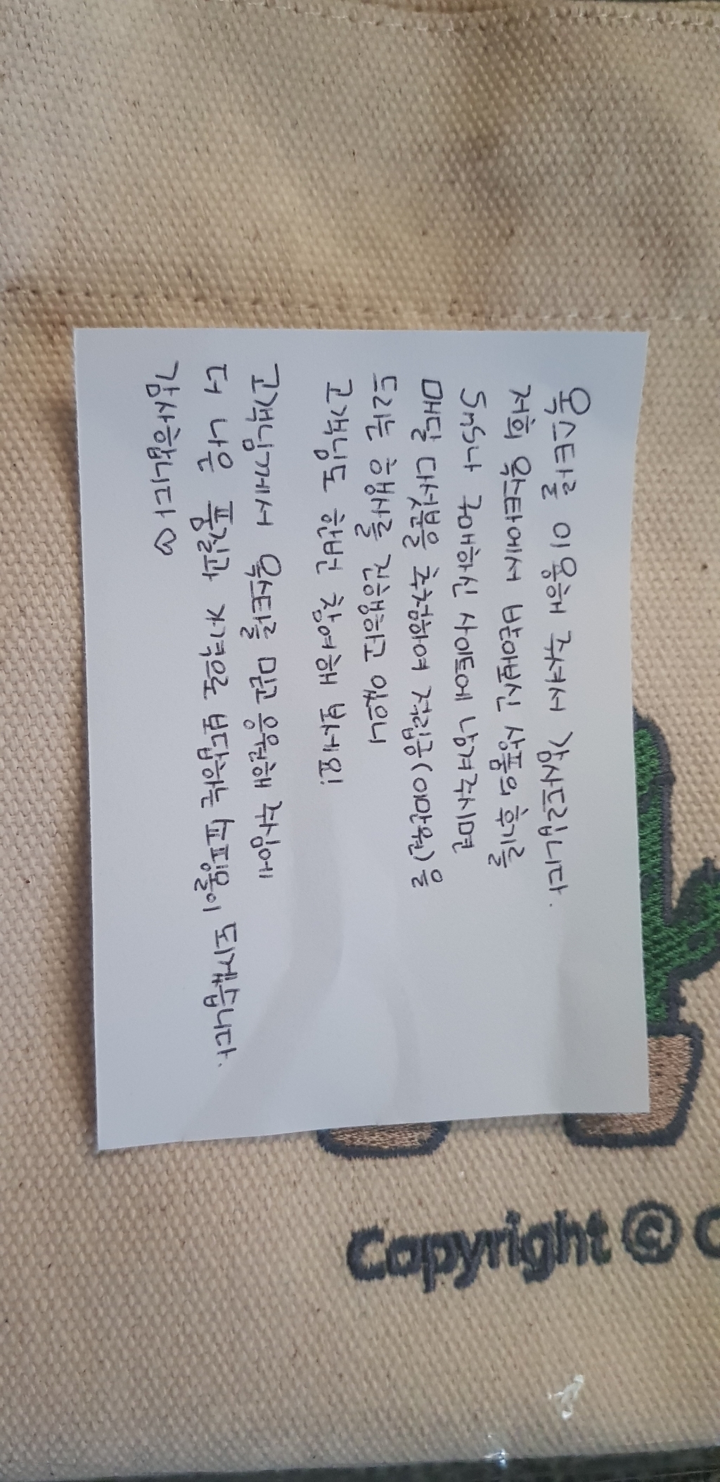 옥스타 선인장 자수 크로스 에코백