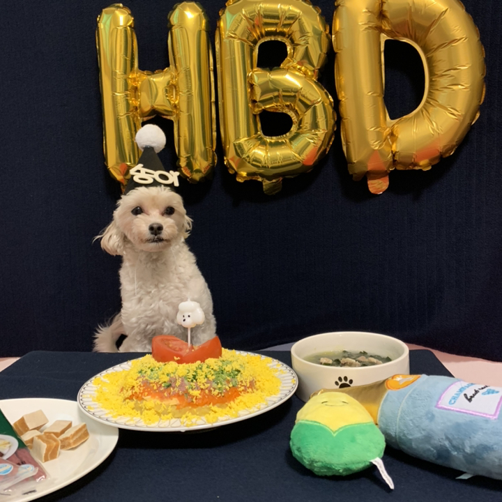 e베이비랜드 펠트 파티햇 _어른 아이 생일파티 네임 고깔모자 꼬깔모자