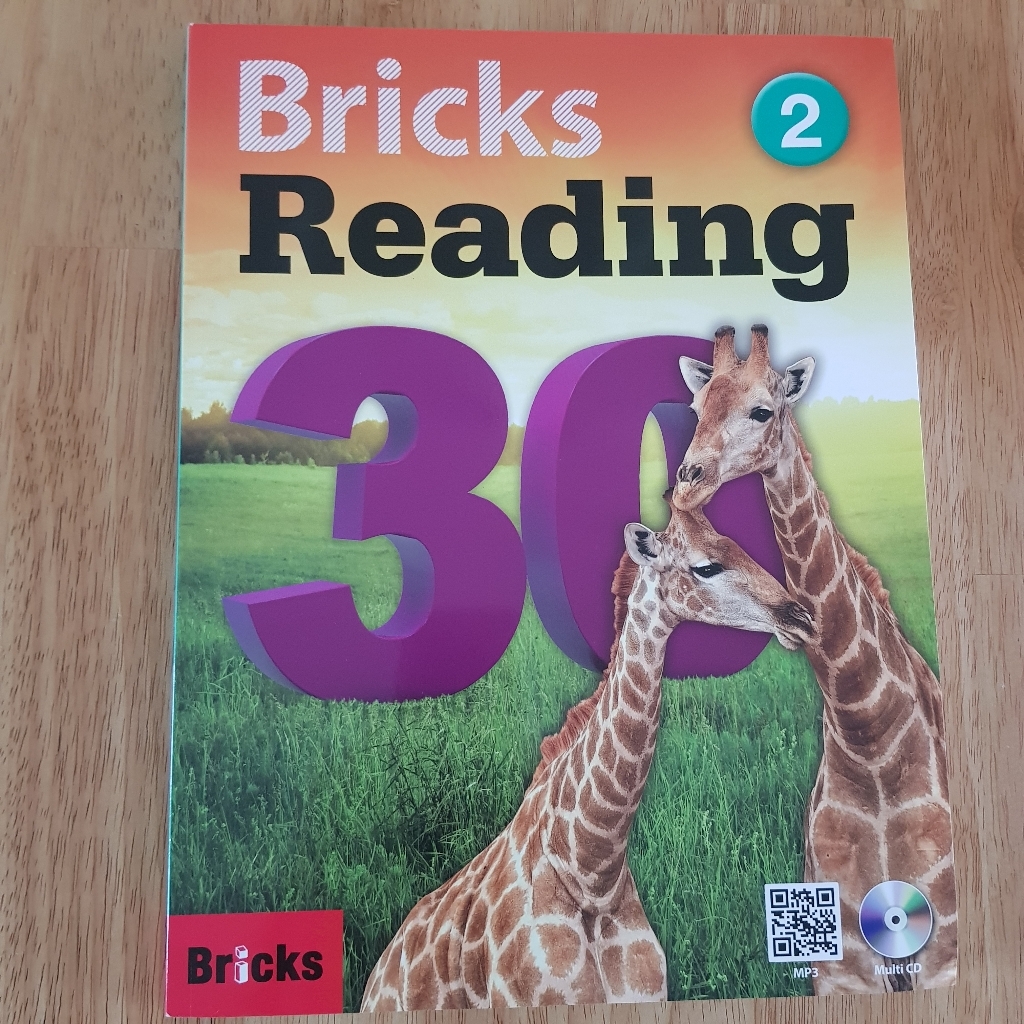 Bricks Readin 30 2