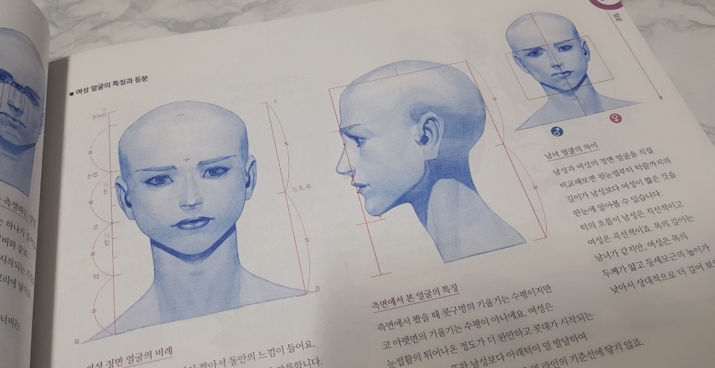 김락희의 인체 드로잉:도형화부터 해부학 동세까지 단계별로 배운다!