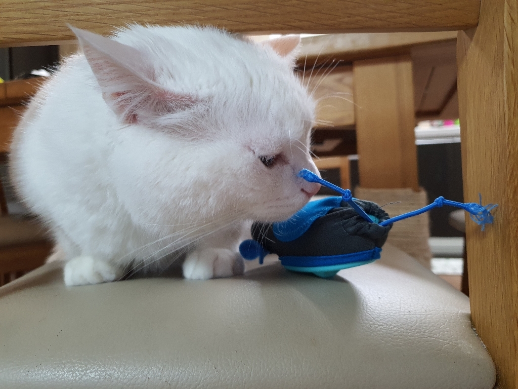 리스펫 숨박꼭쥐 먹이퍼즐 고양이 장난감 리뷰후기