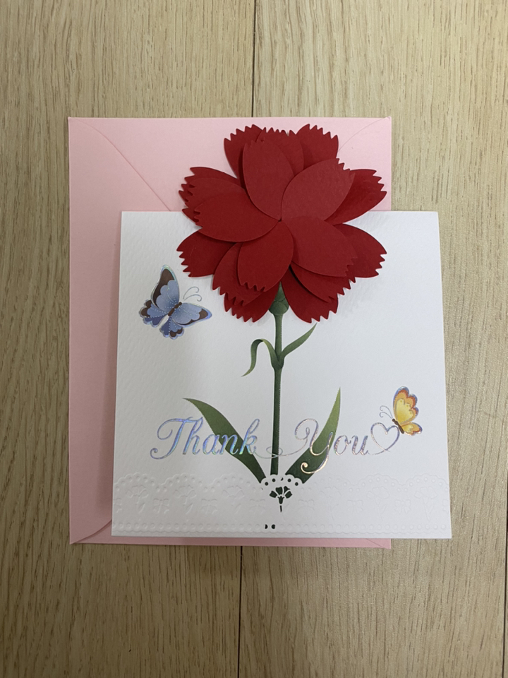 안개나라 카네이션 팝업카드