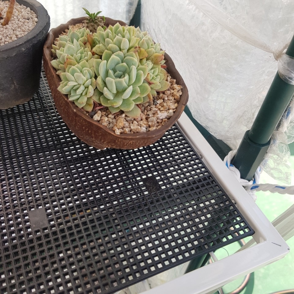 휀스망 30120