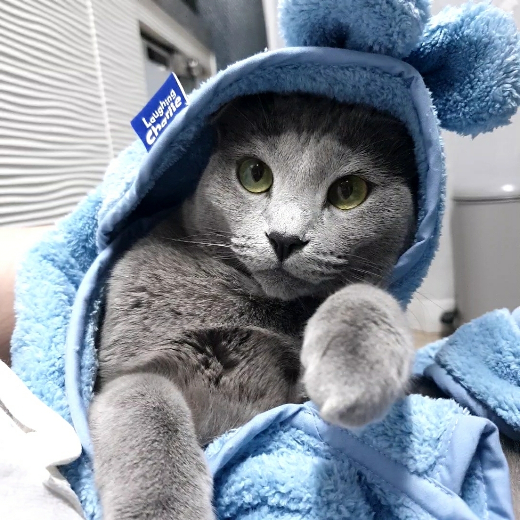 래핑찰리 초극세사 펫 드라이가운