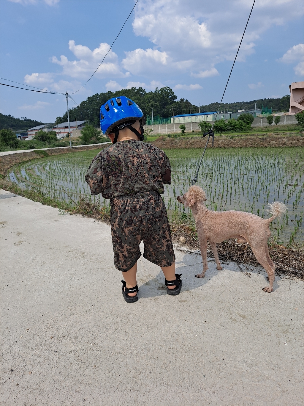 발로타 유아동 경량 키즈헬멧 사이즈조절형 인라인 리뷰 후기