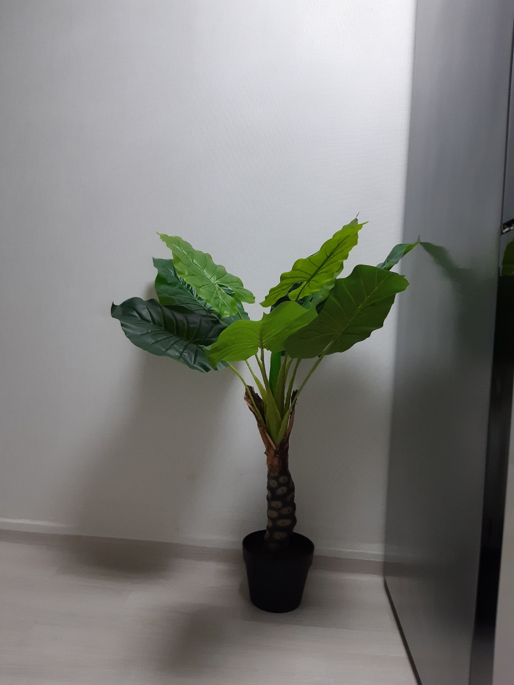 룸앤홈 알로카시아 조화나무 90