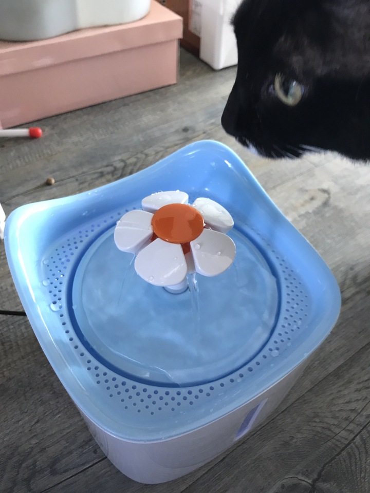 에코펫위드 강아지 고양이 자동 정수기 1