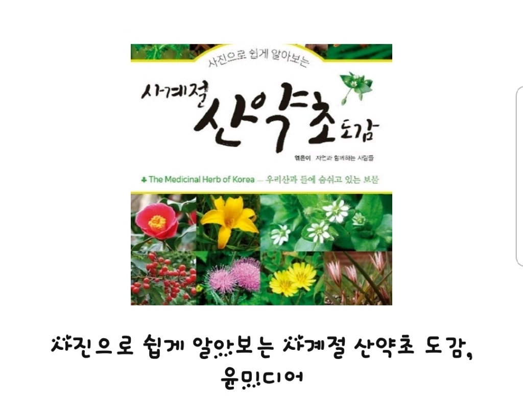 사진으로 쉽게 알아보는 사계절 산약초 도감: