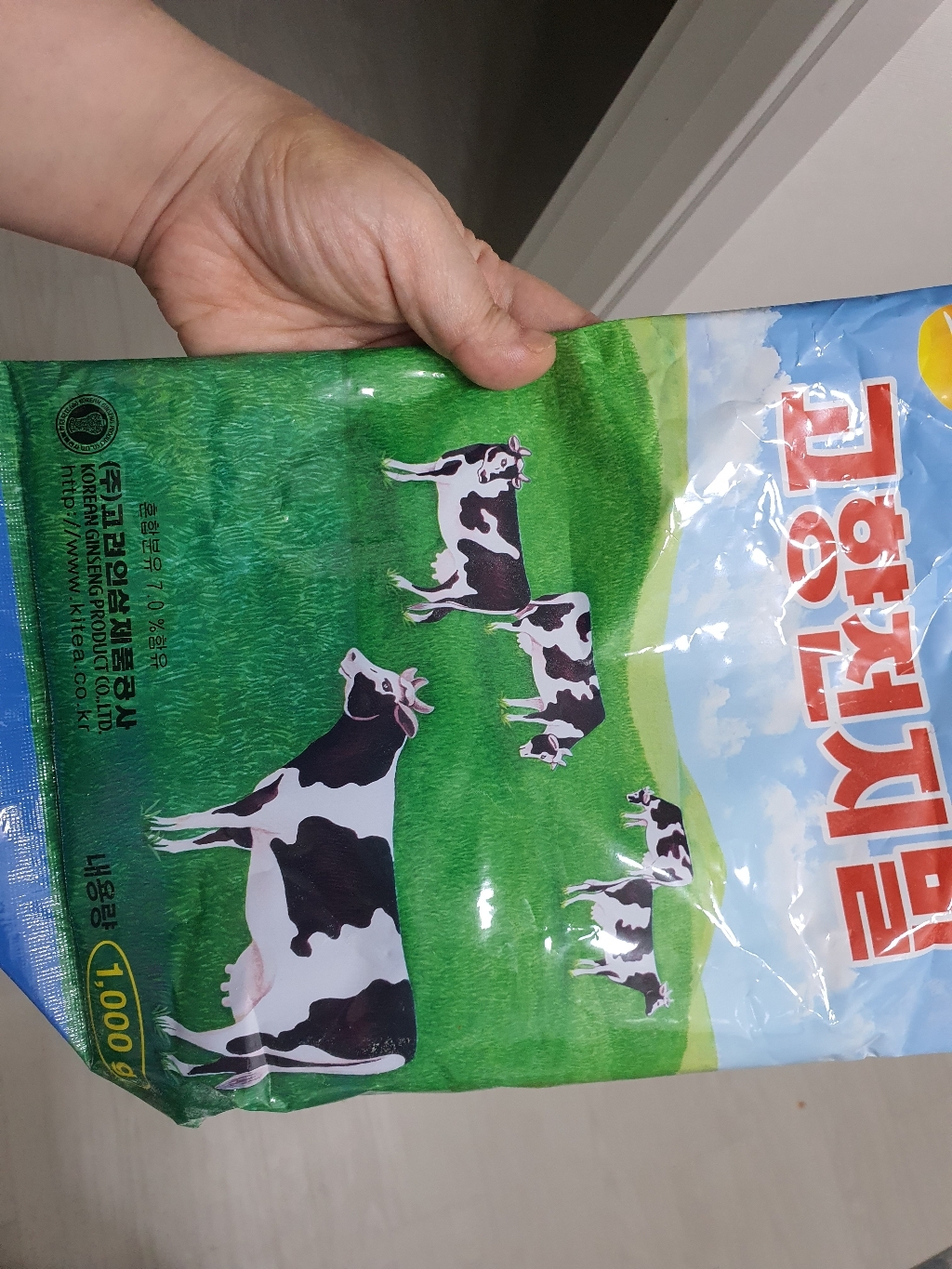 고향 차 리뷰후기