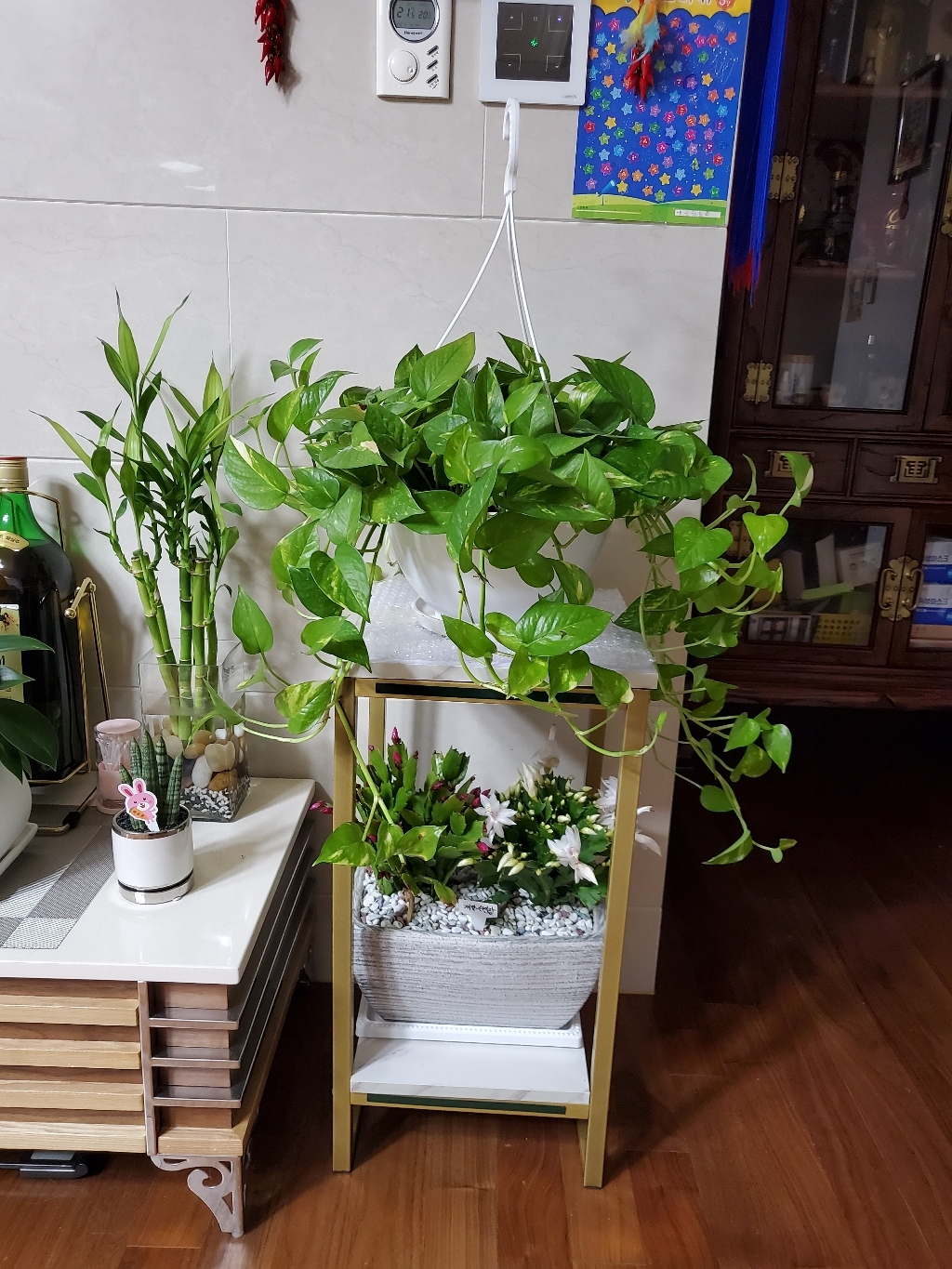 모칸도 화분진열대 2단 화분받침대 선반 철재 화분정리대