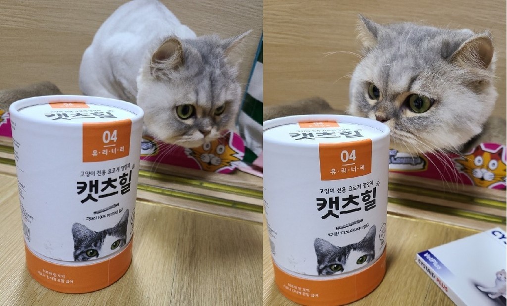 캣츠힐 유리너리 고양이 전용 영양제 리뷰후기