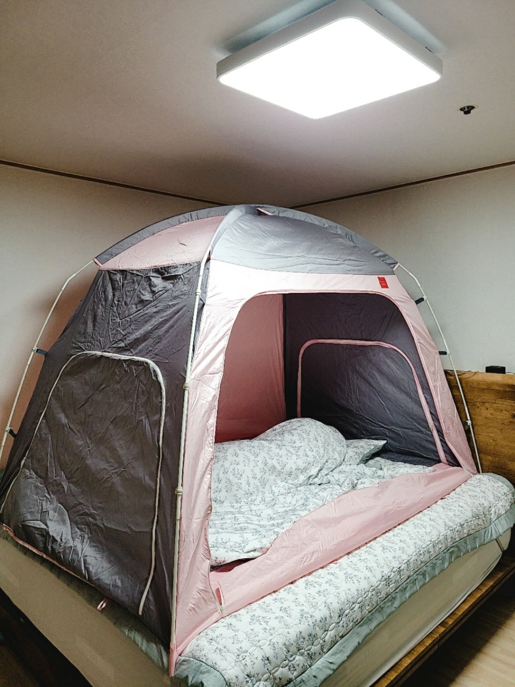 카즈미 프리미엄 패브릭 4계절 난방 텐트 K8T3T008 23인용