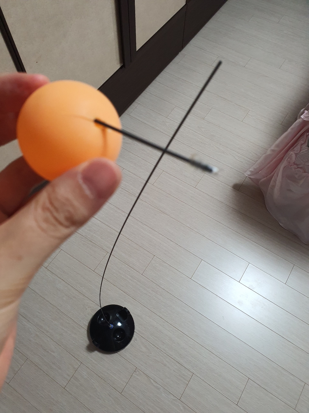혼자하는 운동 셀프탁구세트