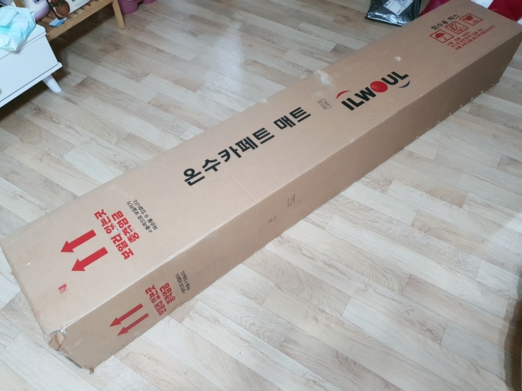 일월 나노륨 거실용 온수 카페트매트 선택형