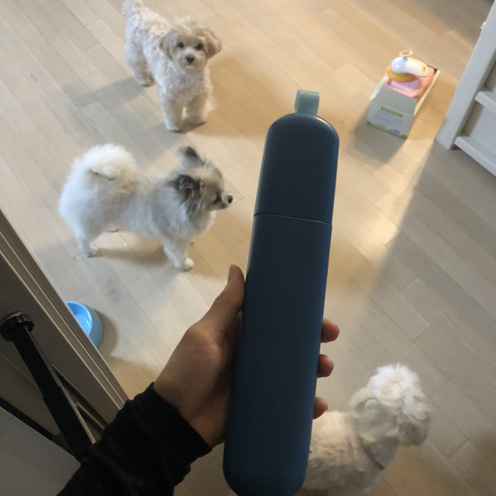 파스텔펫 파스텔 반려동물 털 제거기