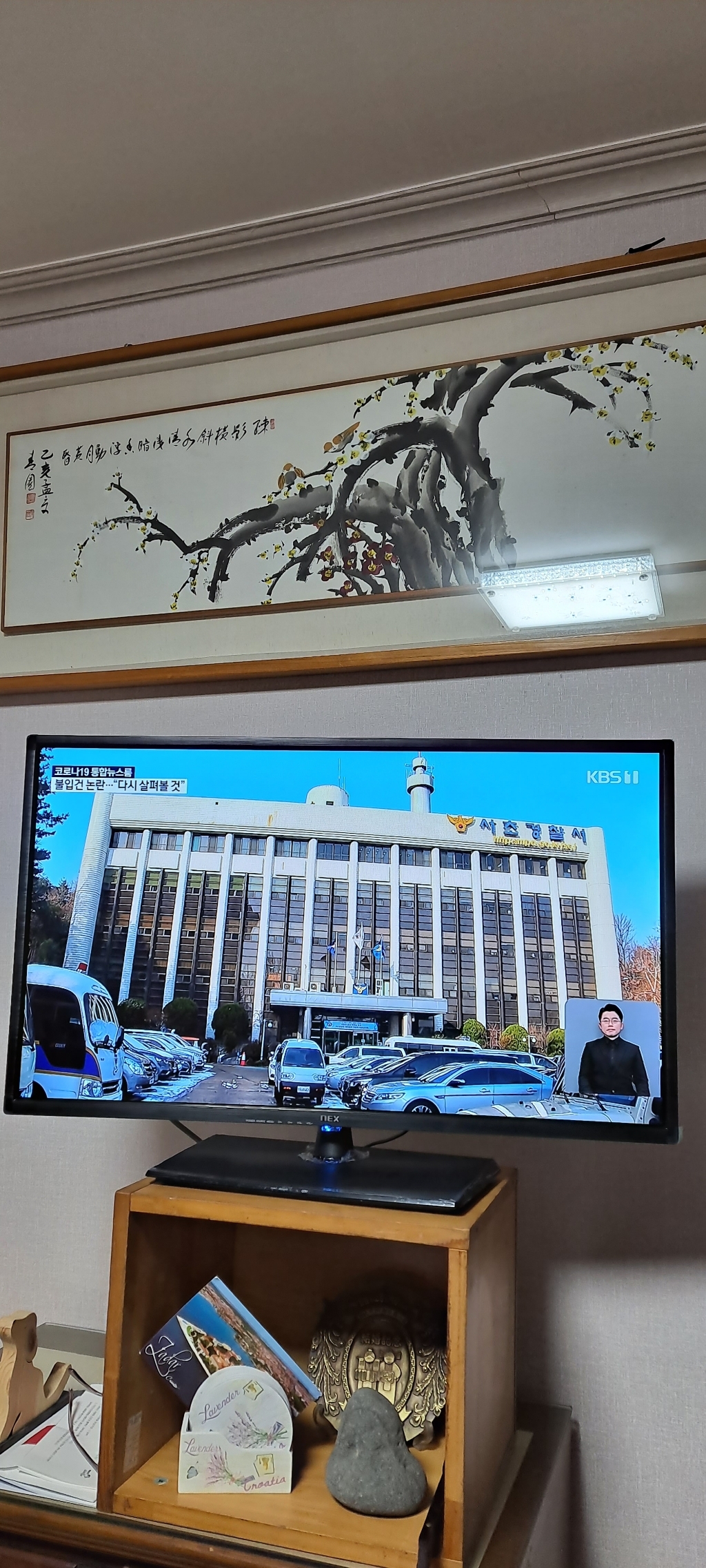 넥스 ED TV