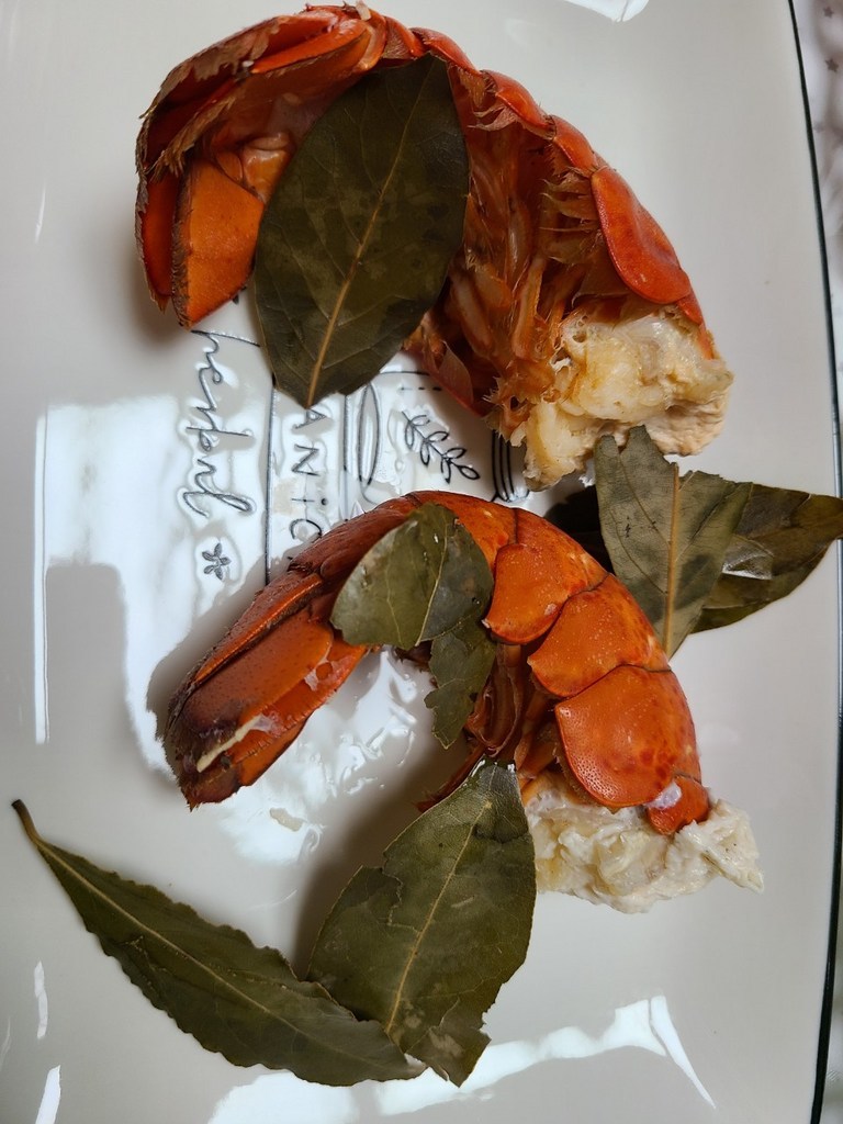 세웅 랍스터 테일 2미 리뷰후기