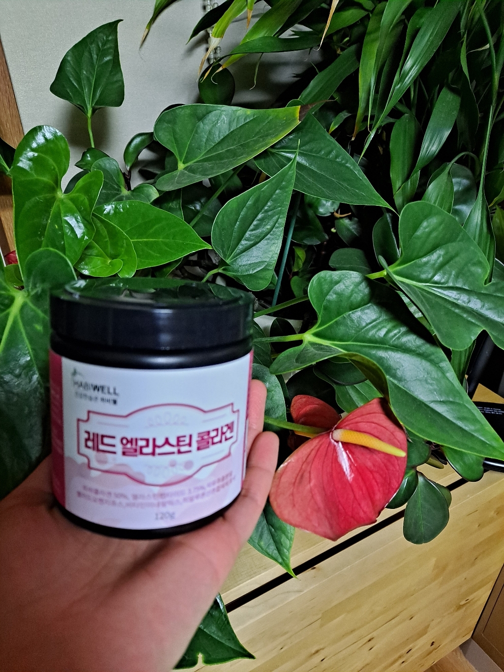 하비웰 레드 엘라스틴 콜라겐 리뷰후기