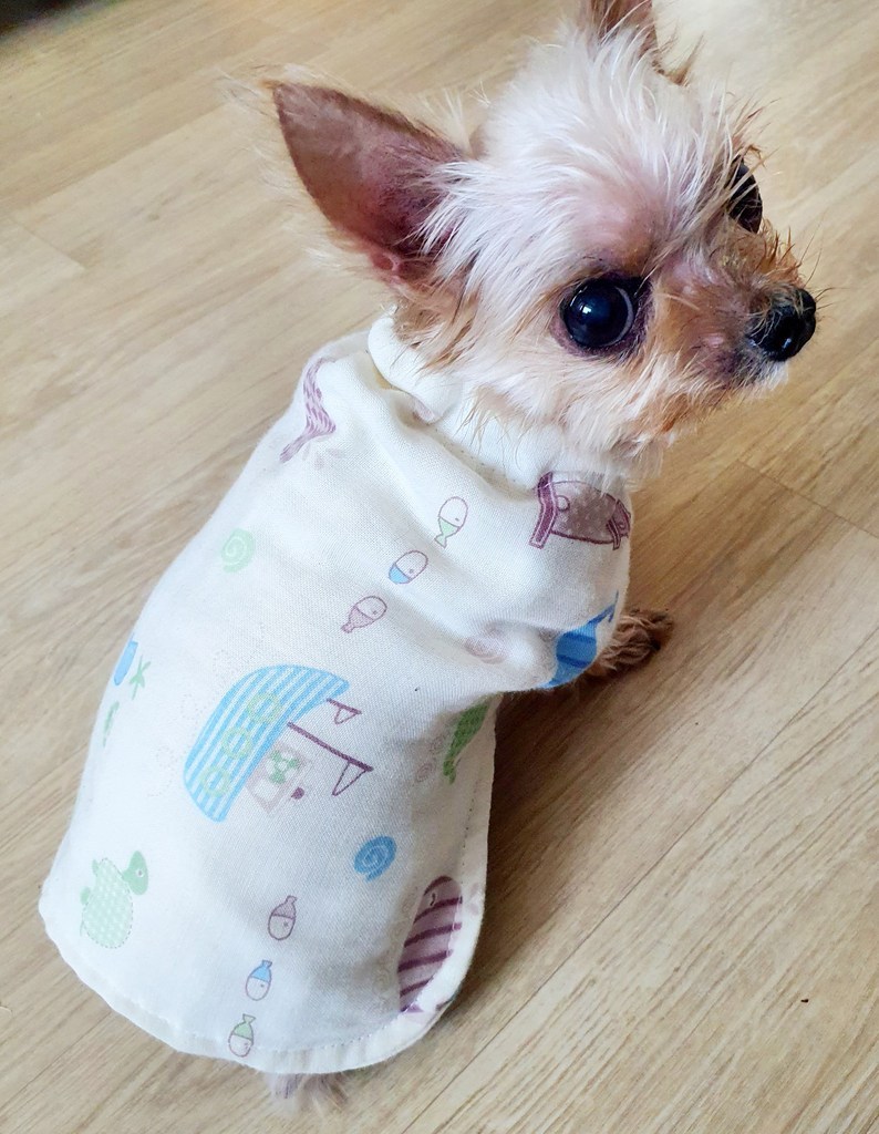 [강아지 잠옷] 까씨네 핸드메이드 시접없는 망토잠옷 알러지 집진드기 방지 오가닉 강아지 고양이 실내복
