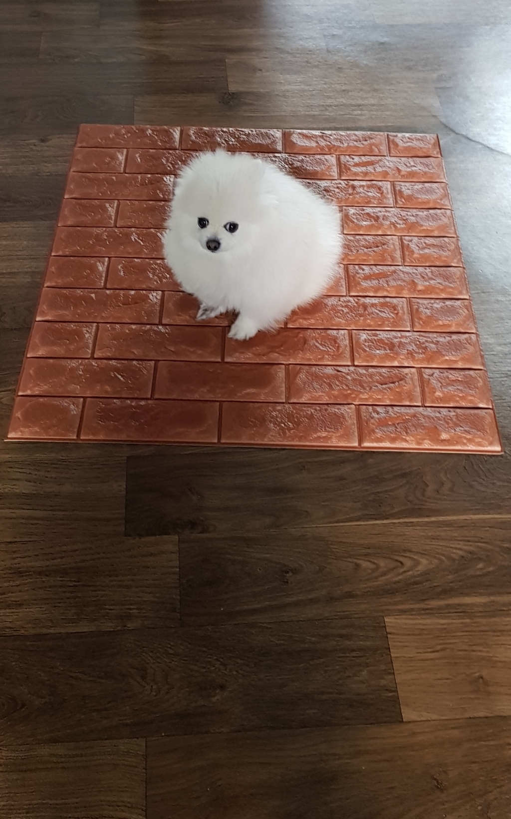 쿠셔니 접착식 폼벽지 단열 파벽돌 폼블럭 리뷰후기