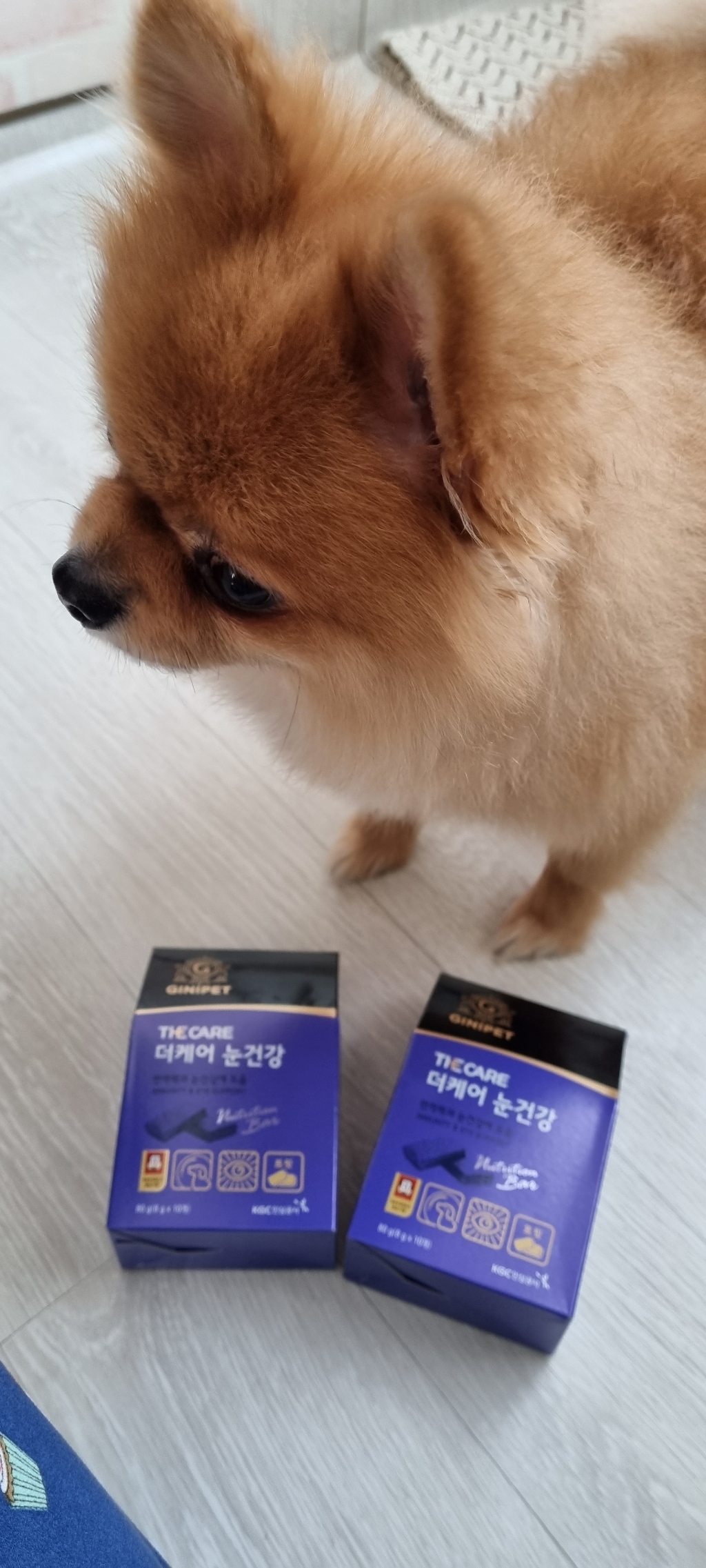 지니펫 더케어 눈건강 리뷰후기