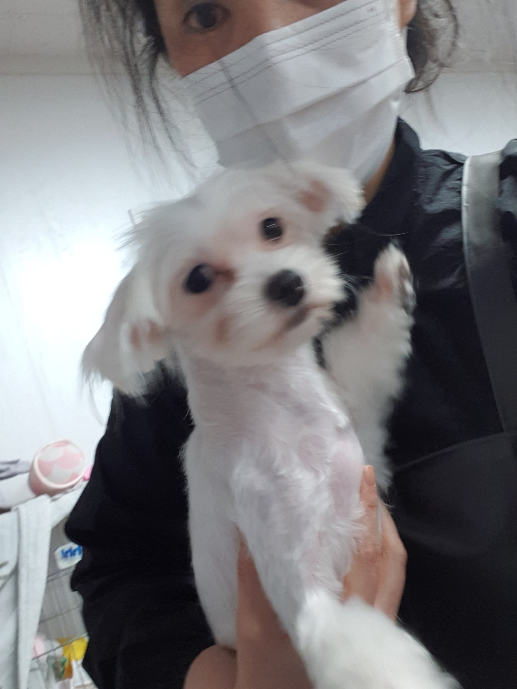 에이앤지 우레탄 H형 앞치마 중 리뷰후기