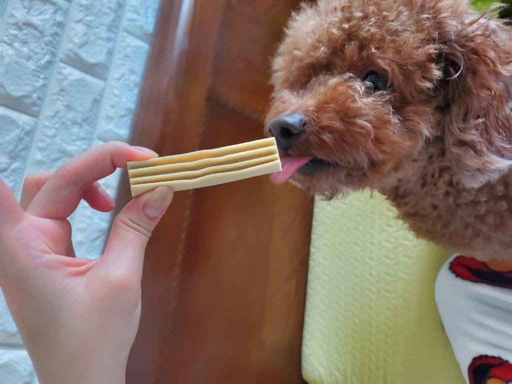 꼬뜨 치석 제거 치카껌 리뷰후기
