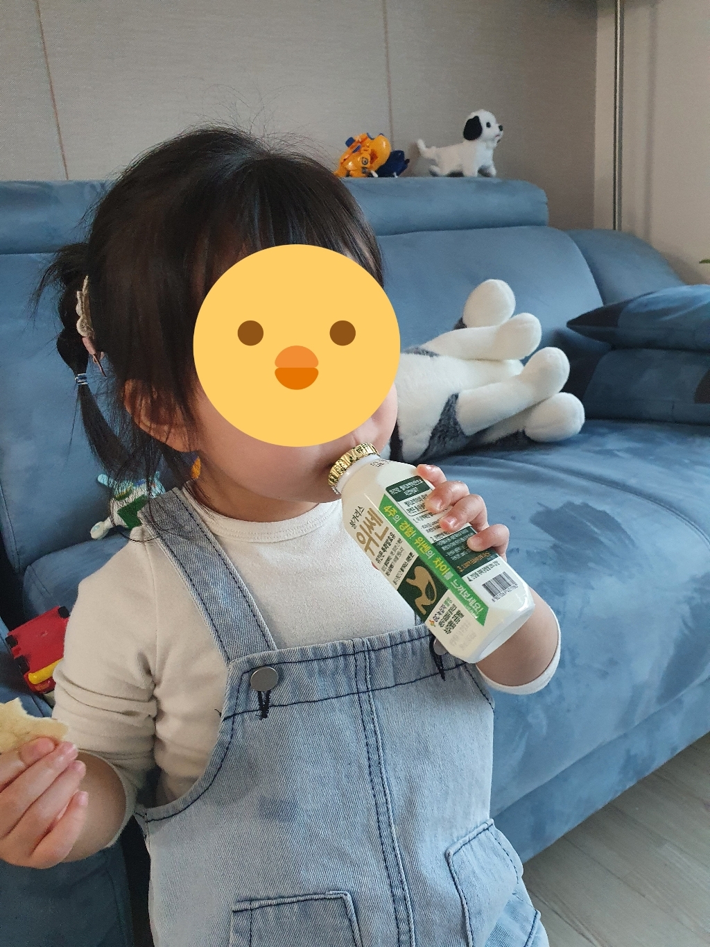 남양유업 불가리스 위쎈 요구르트 리뷰후기