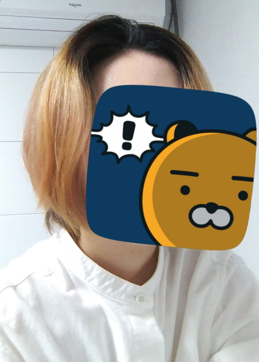 웰라 뉴콜레스톤 퍼펙트 퓨어컬러 염색제 산화제