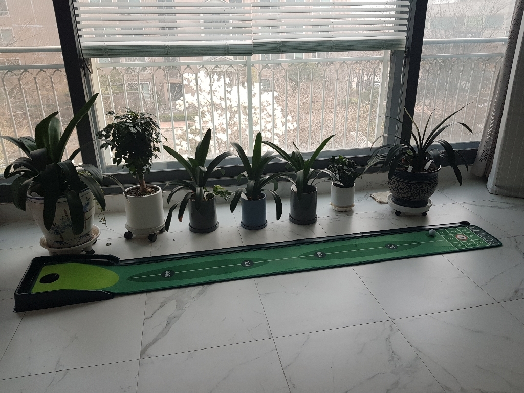 미스터골프 액션퍼팅매트 리뷰후기