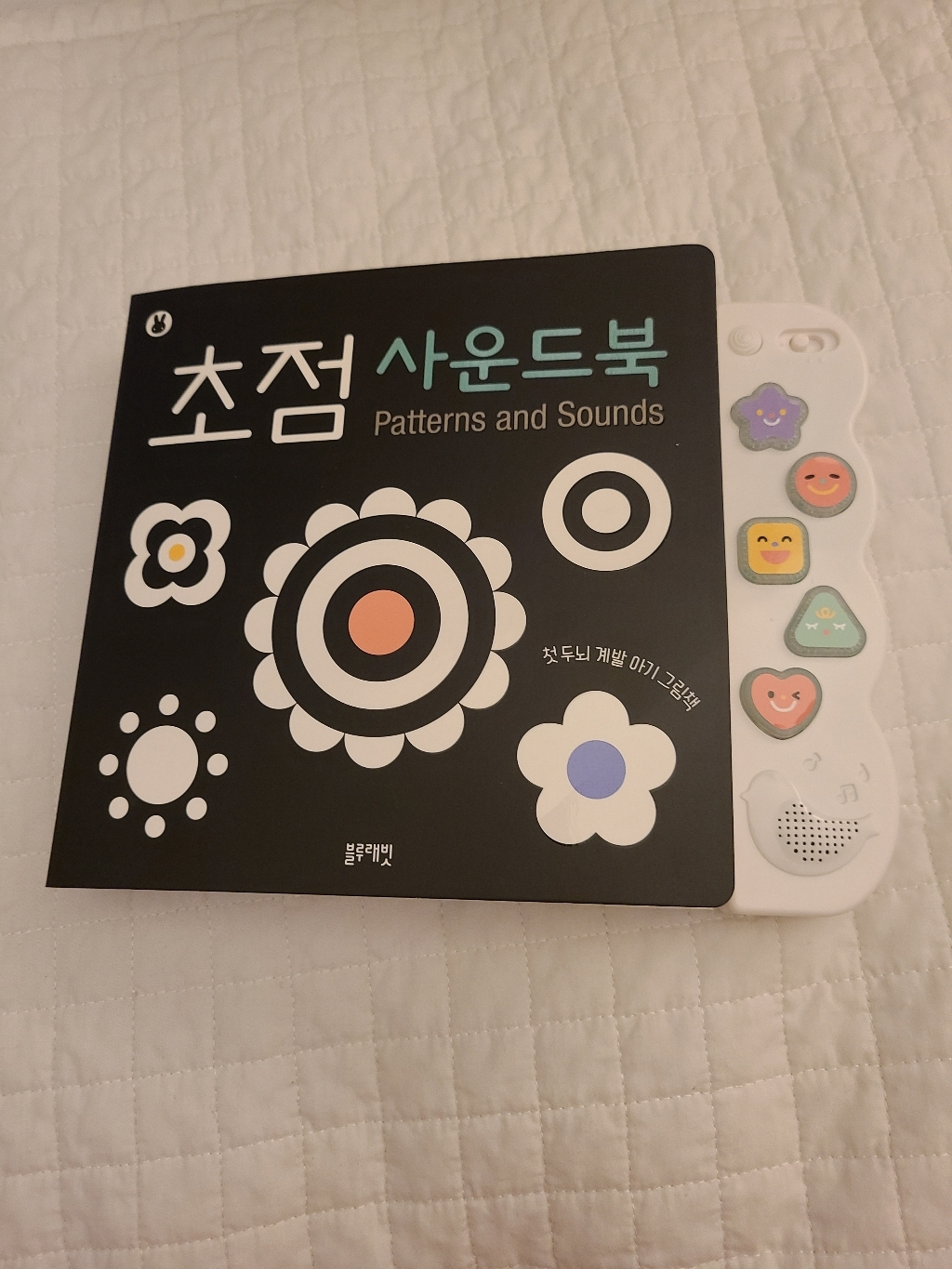 초점 사운드북:첫 두뇌 계발 아기 그림책