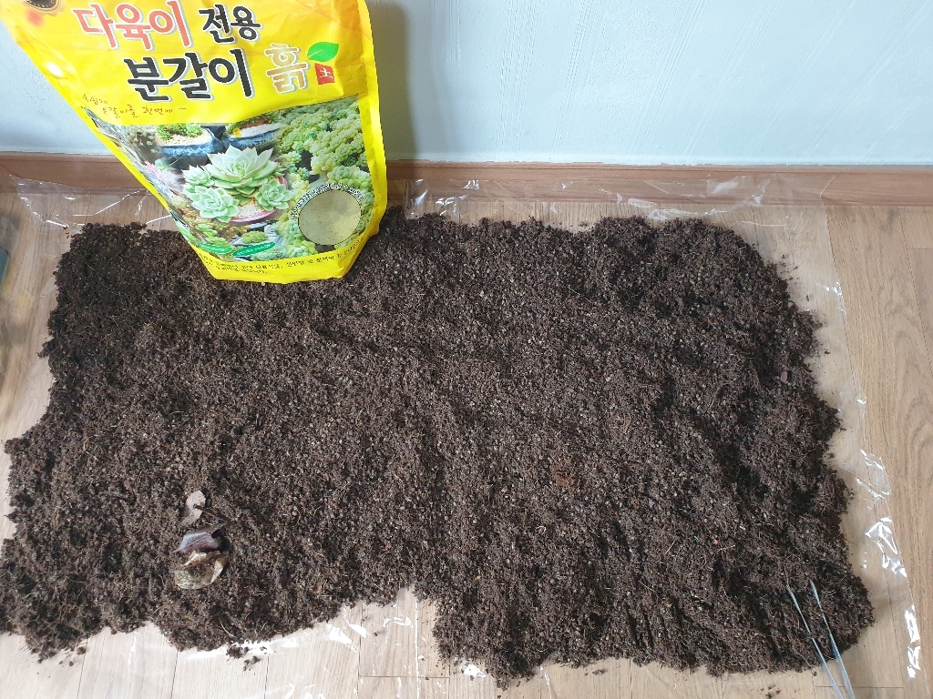 샵티앤아이 다육이흙 6리터3개세척마사토 리뷰후기