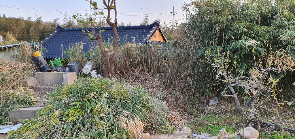 전동 충전식 가위 과수원 전지가위_도매